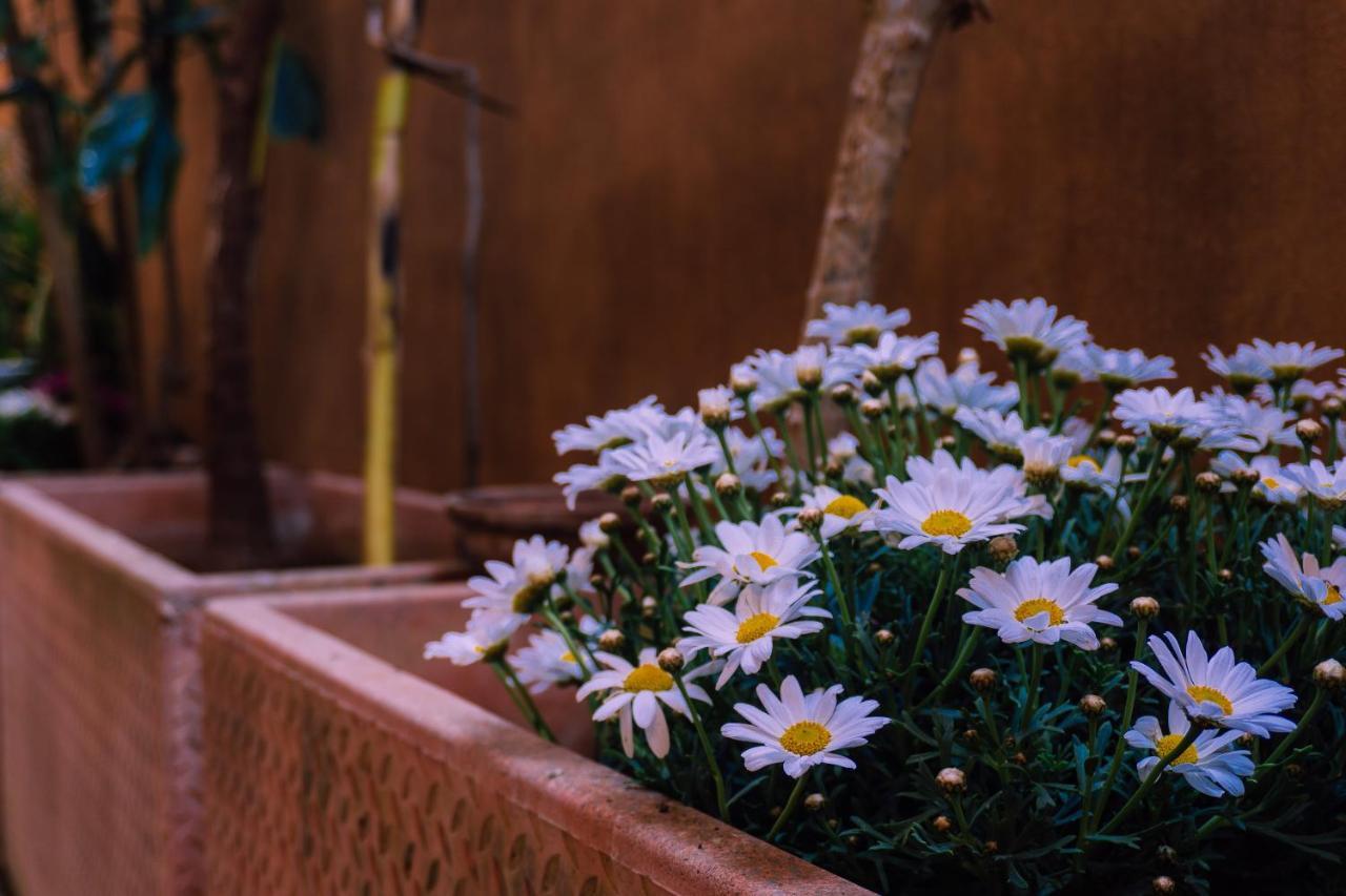 Apartmán Casa Madi Palermo Exteriér fotografie